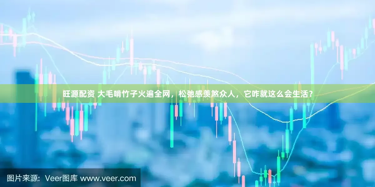 旺源配资 大毛啃竹子火遍全网，松弛感羡煞众人，它咋就这么会生活？