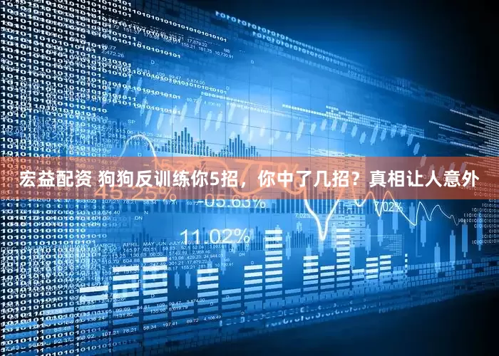 宏益配资 狗狗反训练你5招，你中了几招？真相让人意外