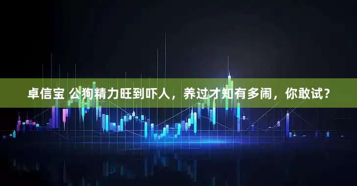 卓信宝 公狗精力旺到吓人，养过才知有多闹，你敢试？
