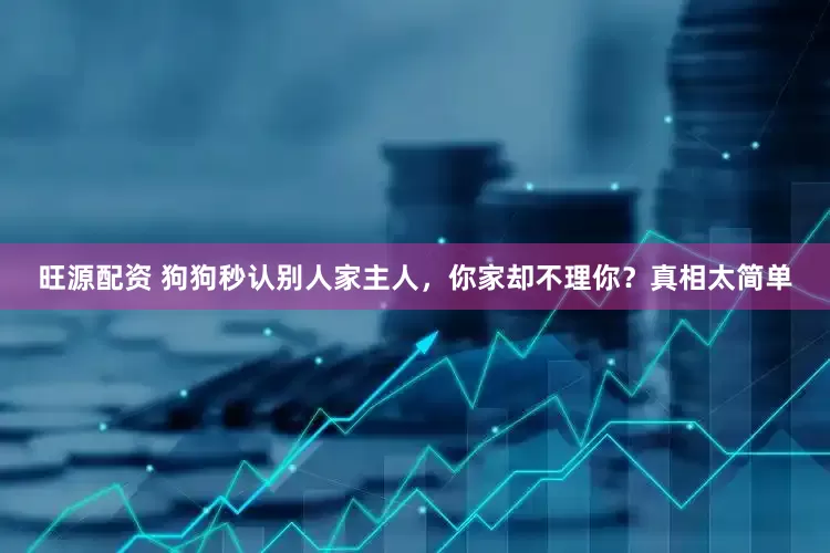 旺源配资 狗狗秒认别人家主人，你家却不理你？真相太简单